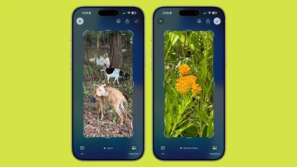 ios-26-visual-intelligence-identification